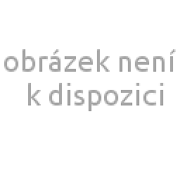 Obrázek pro produkt Mikroplyšové povlečení dětské kombinované 100X135 40X60